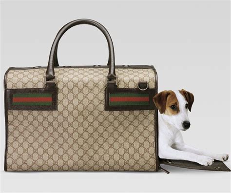 gucci carrier bag|gucci dog collar backpack.